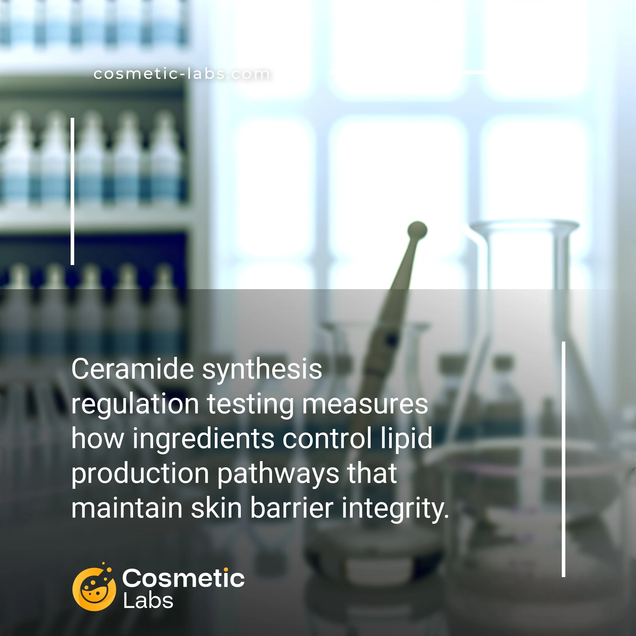Illustration of Ceramide synthesis regulation services. Ceramide synthesis regulation testing measures how ingredients control lipid production pathways that maintain skin barrier integrity.